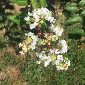 Meet your Posher, Josie